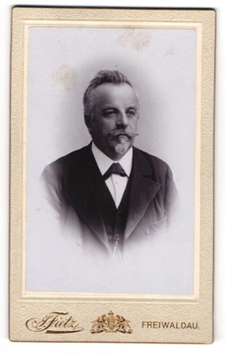 Fotografie Fietz, Freiwaldau, Rudolfsgasse, Gestandener Herr im Anzug  - Bild 1 von 2