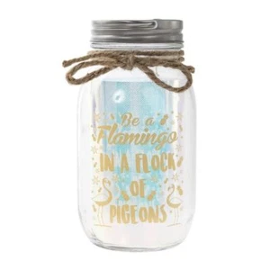 Tarro de albañil de luz de hadas con luz LED vidrio de luciérnaga ser un amigo flamenco regalo - Imagen 1 de 2