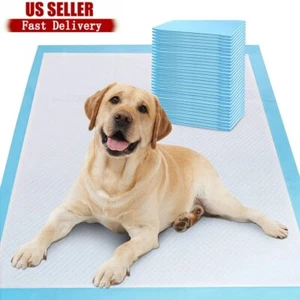 Lot of 500pcs 17in Pet Diaper Dog Training Pee Pads Disposable Nappy Toilet Mat - Picture 1 of 14
