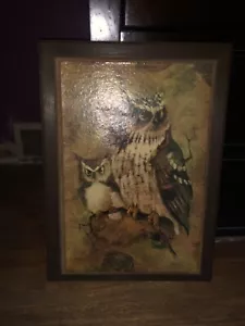 Vintage 1970's Richard Hinger Screech Owl Wood Framed Litho Wall Art MCM - Picture 1 of 5