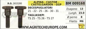 2653280 VITI FRIZIONE DECESPUGLIATORE ALPINA CASTOR 21 22 25 26 30 31 CHIAVE 13 - Picture 1 of 1