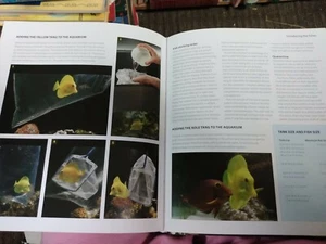 DAS MARINE RIFFAQUARIUM BUCH VON PHILIP HUNT HARDCOVER BUCH - Bild 1 von 8