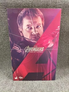 Hot Toys Hawkeye Jeremy Renner Avengers Age of Ultron MMS289 Action Figure Used - Picture 1 of 13