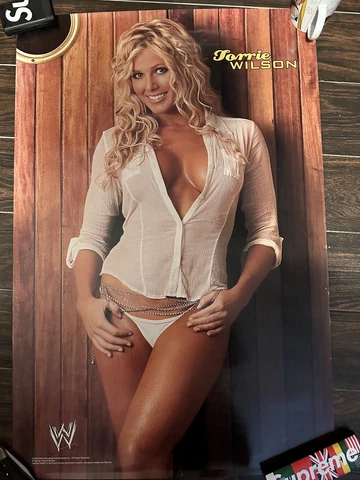 Official WWF WWE 2005 Divas Poster  Torrie Wilson 24x36” RARE Cover