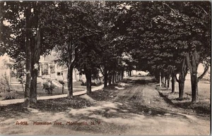 Hamilton Ave Monticello, NY New York Vintage Postcard KD2 - Picture 1 of 2