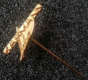 Karmann Anstecknadel Idea vergoldet 30x12mm Muster des Herstellers alt+original - Picture 1 of 2