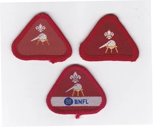 1980-2000 BRITÁNICO / UK SCOUTS - CUB SCOUT CIENTÍFICO INSIGNIA DE COMPETENCIA (3 VAR) - Imagen 1 de 2