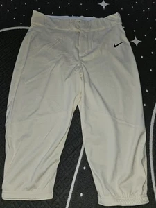 Nike Team Baseball Pants L Mens Polyester BQ5400-120 NWT - Picture 1 of 11
