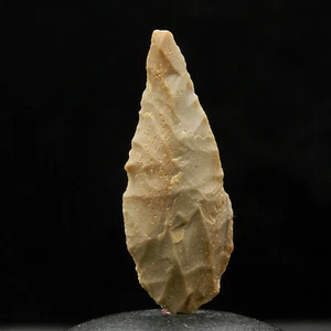 Popa32 ANTIGUA Punta de Flecha de Sílex - 27 mm de Largo - EDAD Neolítica - Sahara - Imagen 1 de 3