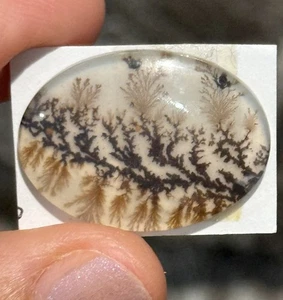 15,5ct 25,6x18,6x4,5mm feiner Farn dendritischer Achat Kristall Doublet oval Cabochon - Bild 1 von 12