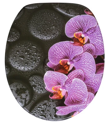 SANILO WC SITZ TOILETTENDECKEL KLODECKEL KLO TOILETTENSITZ MIT ABSENKAUTOMATIK MADEIRA