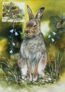 The Mountain Hare Lepus Timidus Rabbit Aland Finland Mint Maxi FDC 2017 - Picture 1 of 1