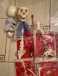Divertiti e scopri il Corpo Umano, RBA, Lotto pezzi del modellino, come da foto - Foto 1 di 4