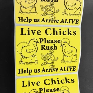 100 Large 4" x 3" Live Chicks Handle with care please Rush Mailing Label  - Picture 1 of 17