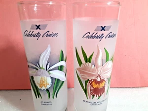 Celebrity Cruise Frosted Drinking Highball Tumbler w/ 3 Recipes (Pair) - Picture 1 of 5