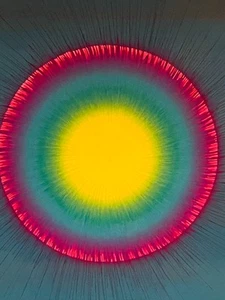 1969 Synthetic Trips XL SUNBURST Poster Vintage RAR! Hippie Cali Love TRIP!!! - Bild 1 von 23