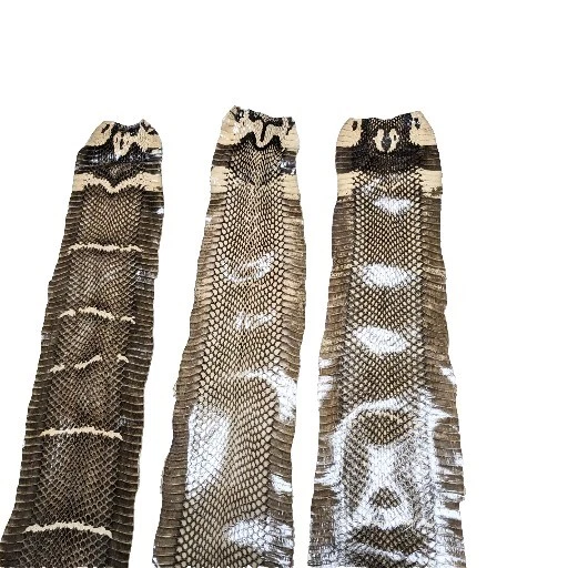 Asia Cobra Snake Skin w/ Hood Mark Snakeskin Hide Leather without Hole Dk Taupe  - Image 1 of 4
