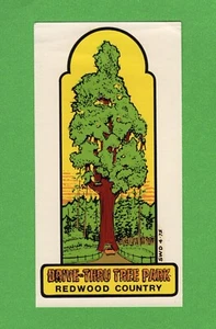 DE COLECCIÓN ORIGINAL 1950 "DRIVE-THRU TREE PARK" REDWOOD COUNTRY CA CALCOMANÍA ARTE ¡BONITO! - Imagen 1 de 1