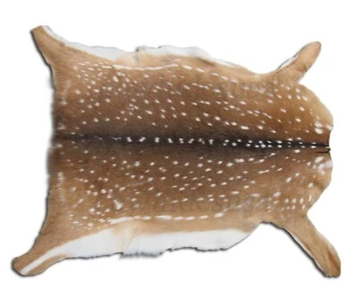 COWHIDESUSA Axis Deer Skin Average Size: 37" X 30" Top Grade Chital Deer Hide