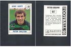 P.Shilton (Derby County) N.97 Football 90 Inghilterra Panini 1989-90 Nuova ▓