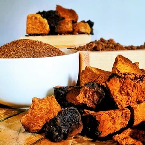 Wholesale Scottish Chaga Mushroom Chunks - 1KG - Inonotus Obliquus - Organic - Picture 1 of 2