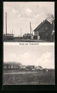 Todendorf, Ansichtskarte, Straßenpartie im Ort, Blick auf ein Gehöft 1919  - Picture 1 of 2