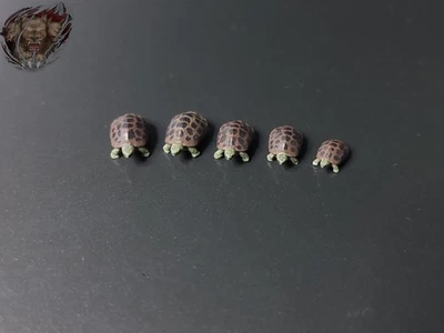 1/87 Schildkröten Set Tier Zoo Aquarium Strand Figur H0 HO - Bild 1 von 4