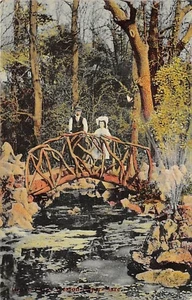 RUSTIC BRIDGE GROVE PARK WESTON SUPER MARE SOMERSET POSTCARD 1909 - Picture 1 of 2