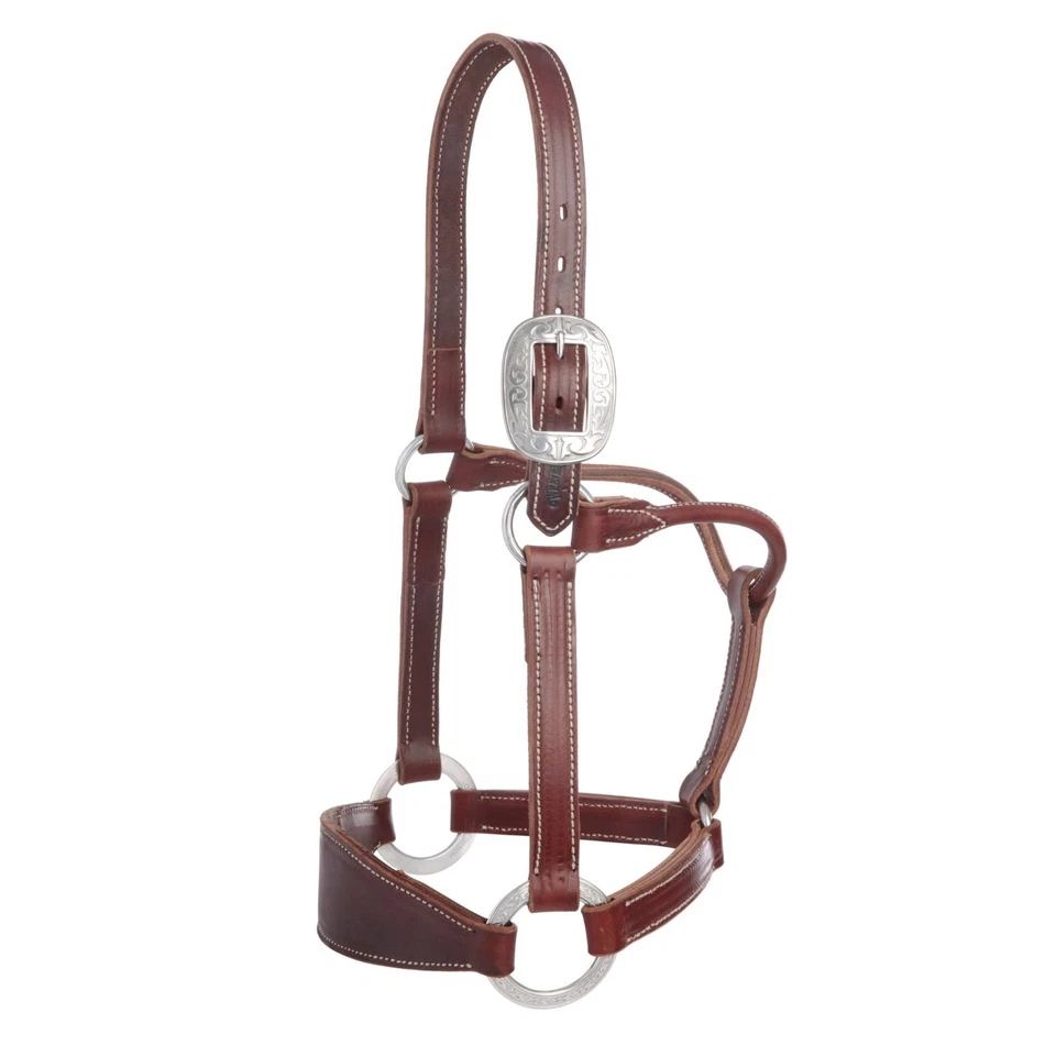 Halter Stacy Westfall Bronc, 1", marrón promedio Foto 1 de 4