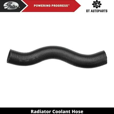 For 1979-1982 Plymouth Champ Radiator Coolant Hose Lower Gates 1980 1981 - Image 1 of 4