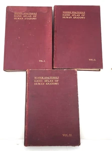 Werner Spalteholz Hand Atlas of Human Anatomy 6th Ed Vol 1 2 3 GVC - Picture 1 of 21