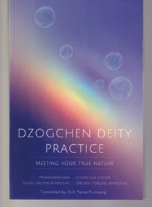 DZOGCHEN DEITY PRACTICE: MEETING YOUR TRUE NATURE by Padmasambhava (2016){W10} - Imagen 1 de 2