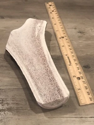 One JUMBO ~ Split Elk Antler ~ Premium Dog Chew (1pc) **OREGON ANTLER WORKS** - Image 1 of 4