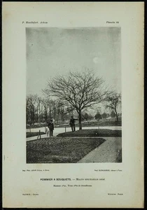 1898 - Apfelbaum Bis Bund Birkenreisig Birkenzweig - Lichtdruck Antriebswelle & - Bild 1 von 3