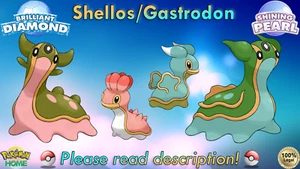💎Shiny/Non-shiny Shellos/Gastrodon East/West Sea 6IV💎BD/SP (💯Legal) - Picture 1 of 77