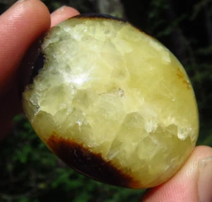 SEPTARISCH POLIERT VERTRAUEN ERDUNG SCHUTZ KRISTALL PALMENSTEIN MADAGASKAR - Bild 1 von 8