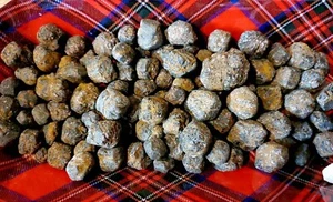 Old Stock Idaho Star Garnet 1 lb Lot (1/2" to 1 1/2") - Free Gift Include! - - Picture 1 of 15