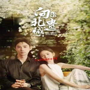 2024 Chinese XIANG BEI REGRET DVD-9 向北的遗憾 Chinese Sub BOXed 爱情 - Picture 1 of 3