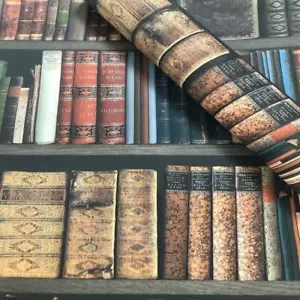 LIBROS PAPEL TAPIZ PAPEL PARED ROLLOS DECORACIÓN BIBLIOTECA 934809 RASCH - Imagen 1 de 4