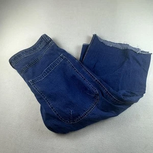 Alab Jeans Mens 40 Blue Baggy Wide 26" Mega Leg Graphic Denim Y2K Retro Skate - Picture 1 of 17