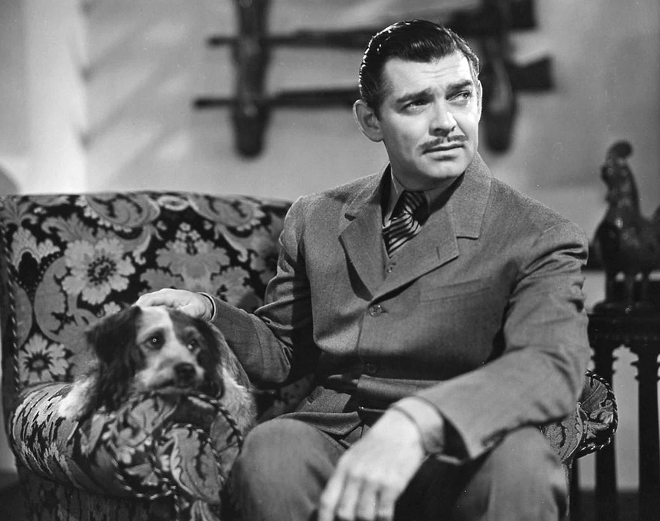 1940 CLARK GABLE with Dog PHOTO  (198-i ) - Image 1 of 1