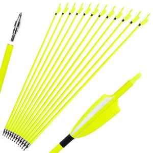 6/12 Archery Carbon Arrows 30" SP500 Feathers Tips Recurve Compound Bow Hunting - Picture 1 of 16