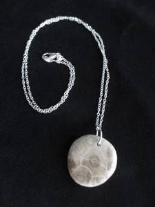 Beautiful Petoskey Stone Pendant Necklace on 20" Sterling Silver Plated Chain - Picture 1 of 12