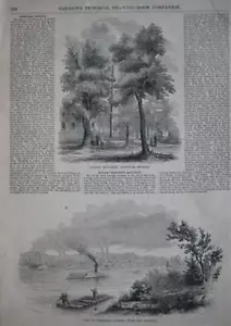 1854 Kupferstiche SAVANNAH Georgia WHEELING West Virginia - Bild 1 von 1