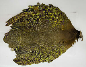 Guinea Fowl Pelt - Whiting Farms - dyed Yellow