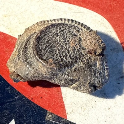 Monedero de cuero excavado con monedas de plata de barbero Washington 💥 🇺🇸 💣  Foto 1 de 4