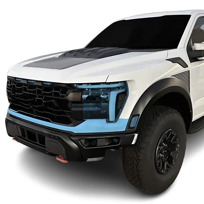 Kit de sujetador transparente de película de protección de pintura precortada PPF para Ford F150 2024+ Foto 1 de 4