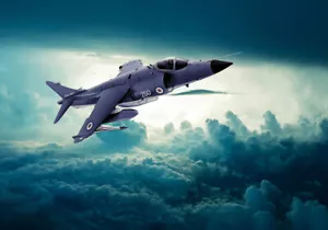 Hawker Siddeley Sea Harrier Leinwanddrucke verschiedene Größen kostenloser Versand - Bild 1 von 1