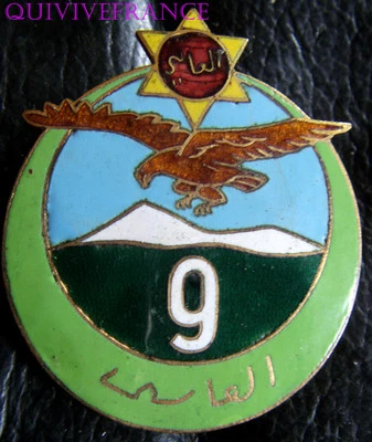 IN5988 - INSIGNE 9° Régiment de Tirailleurs Algériens, type 1, 48 mm, dos lisse - Photo 1/2