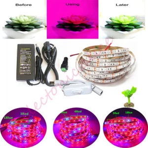 5050 LED Grow Lights DC12V Wasserdicht Wachsende LED Streifen Pflanze Wachstumslicht Set - Bild 1 von 6